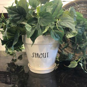 Rae Dunn SPROUT PLANTER Pot Large NWT/NIB